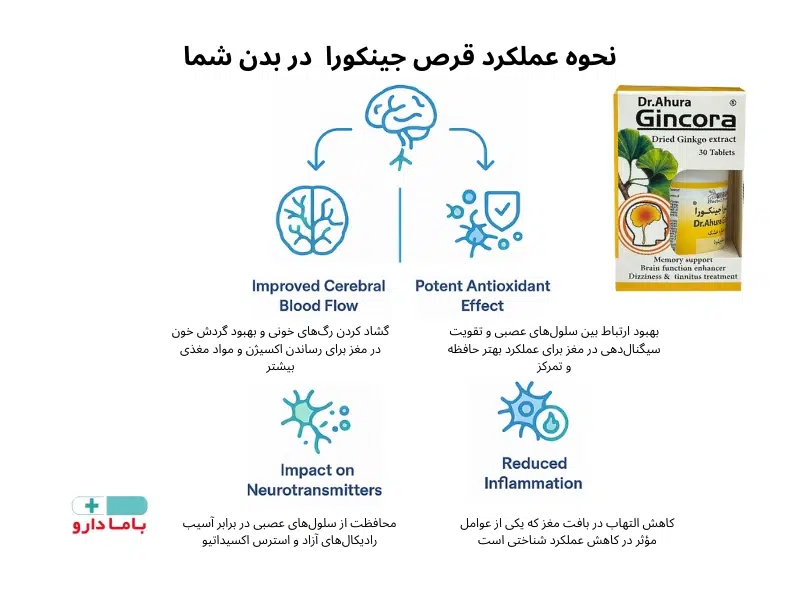 عوارض قرص جینکورا برای وزوز گوش