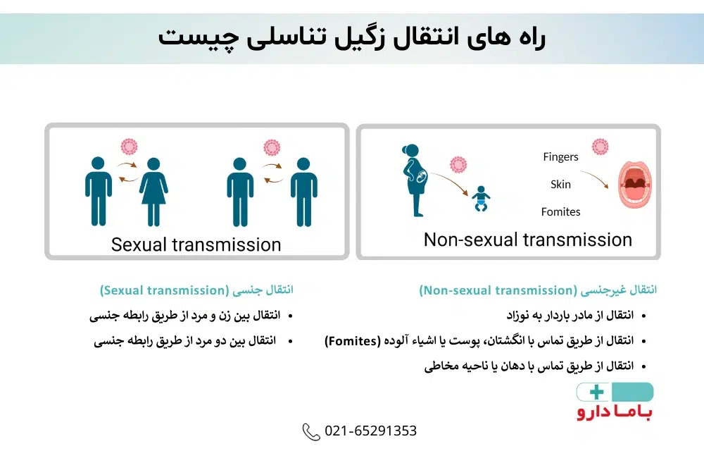 راههای انتقال زگیل تناسلی چیست